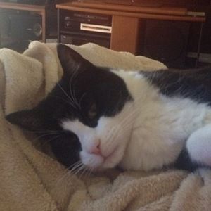 Meet your Posher, Carolyn